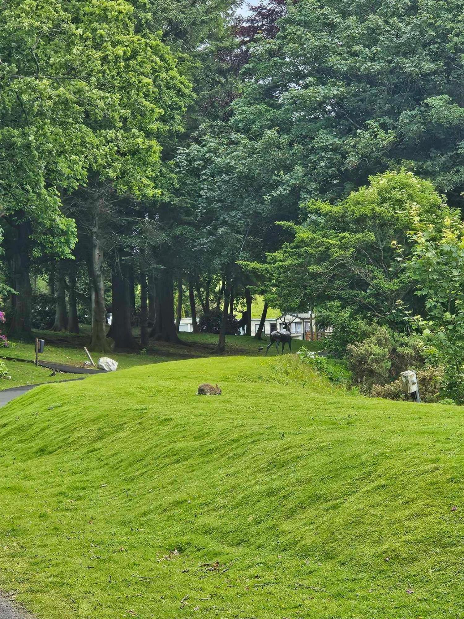 The Sunny Bunny Holiday Home Ballantrae Eksteriør bilde